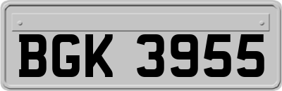 BGK3955