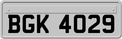 BGK4029