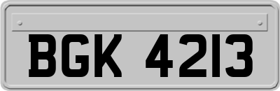 BGK4213