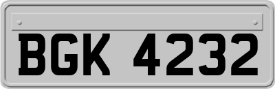 BGK4232