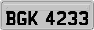 BGK4233
