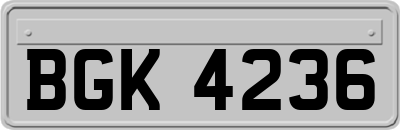 BGK4236