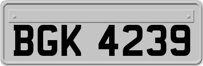 BGK4239