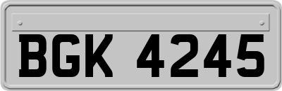 BGK4245