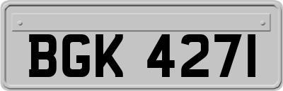 BGK4271