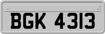 BGK4313