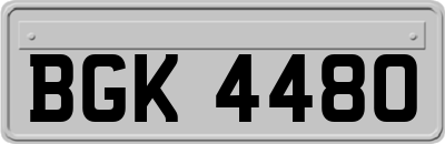 BGK4480
