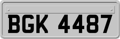 BGK4487