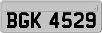 BGK4529