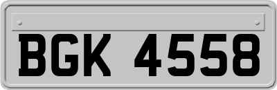 BGK4558