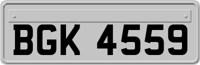 BGK4559