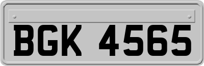 BGK4565