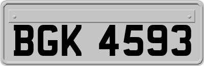 BGK4593