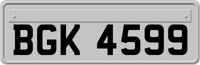 BGK4599