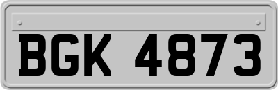 BGK4873