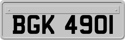 BGK4901