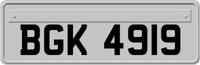 BGK4919