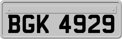 BGK4929