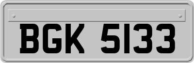 BGK5133