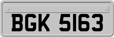 BGK5163
