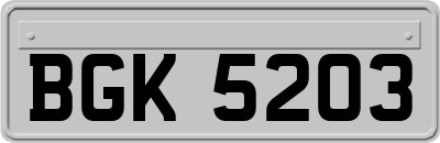 BGK5203