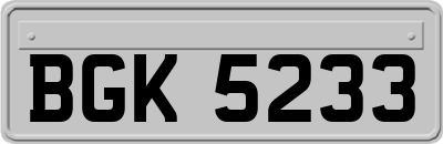 BGK5233