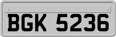 BGK5236