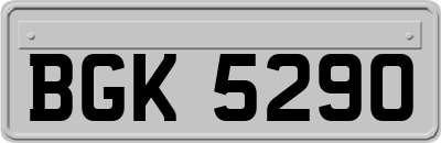 BGK5290