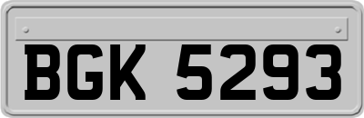 BGK5293