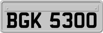 BGK5300