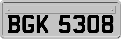 BGK5308