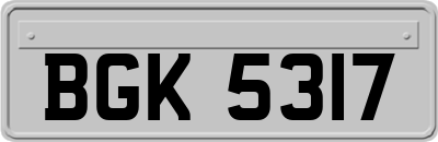 BGK5317
