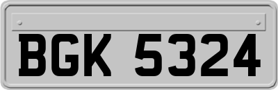 BGK5324