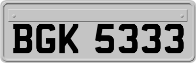 BGK5333