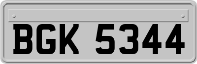 BGK5344