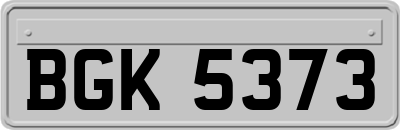 BGK5373