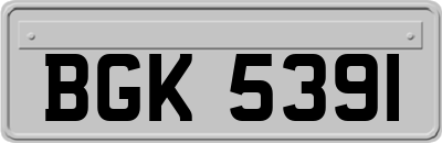 BGK5391