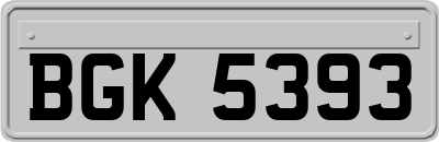 BGK5393