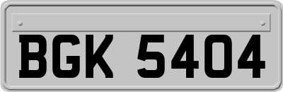 BGK5404