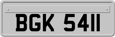 BGK5411