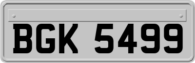 BGK5499