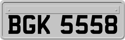 BGK5558