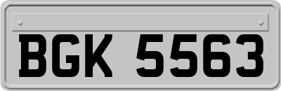 BGK5563
