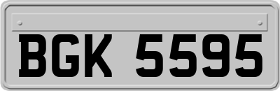 BGK5595
