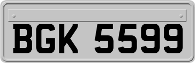 BGK5599