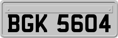 BGK5604