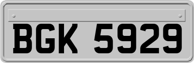 BGK5929