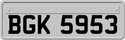 BGK5953