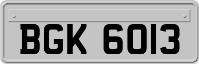 BGK6013