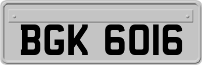 BGK6016
